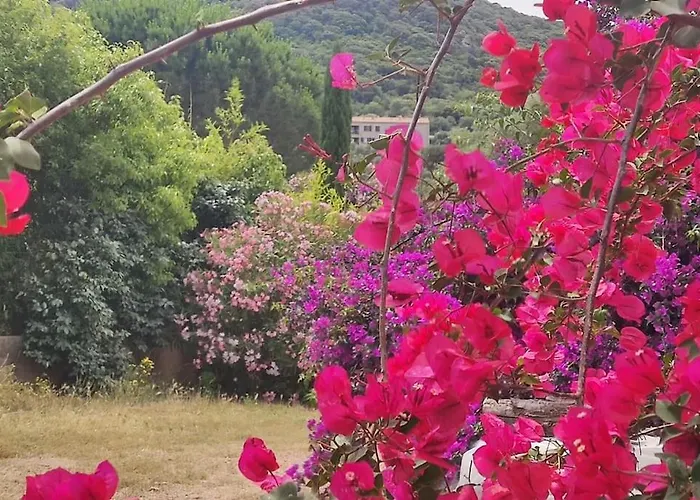 Callochiusa Avec Piscine 15mn Bonifacio 菲加里