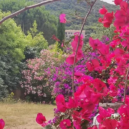 Callochiusa Avec Piscine 15mn Bonifacio Figari (Corsica)